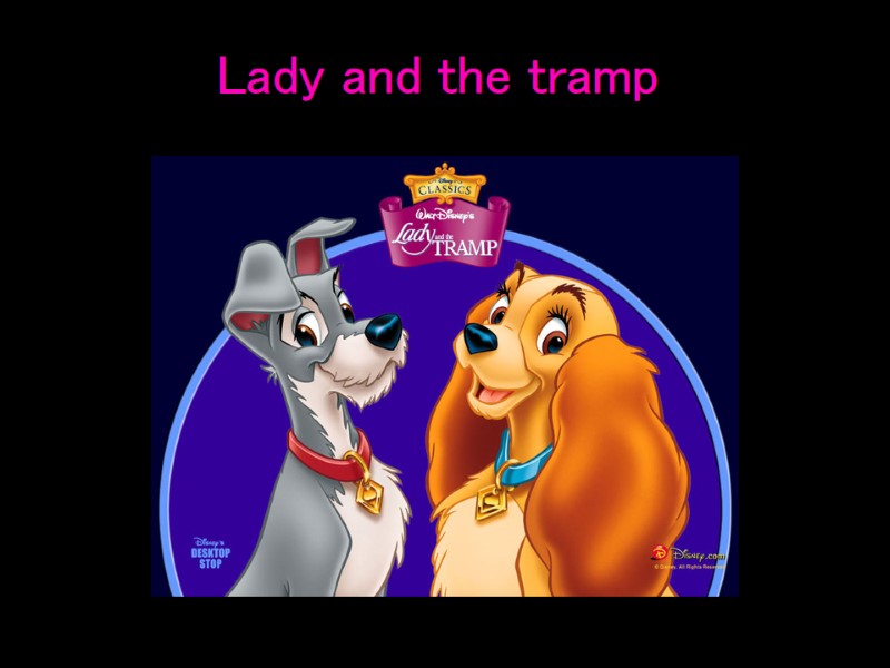 Lady and the tramp